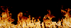 fire_803